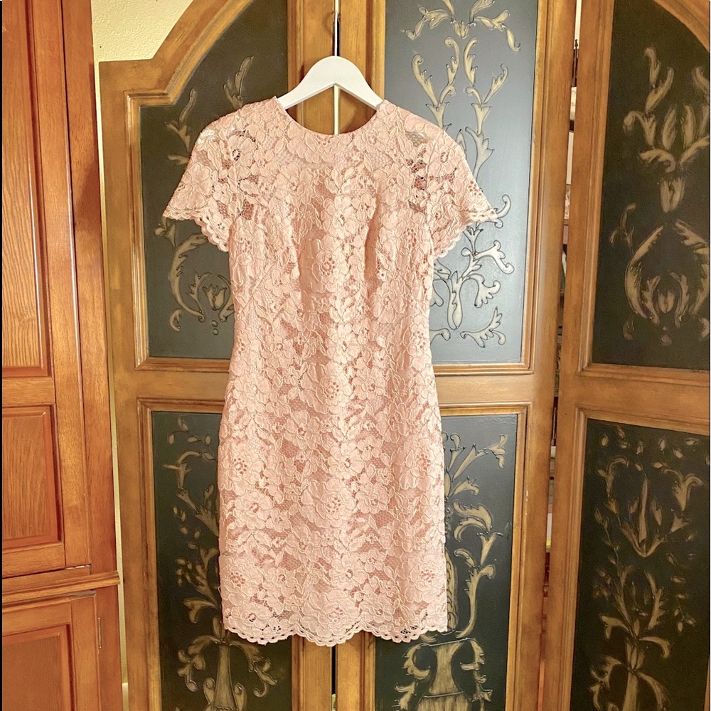 Ralph Lauren short blush pink lacey dress.
